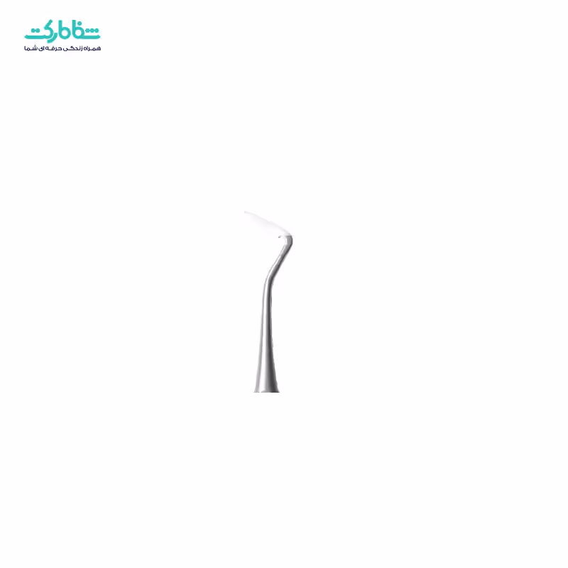 کارور نیزه ای جویا 2503