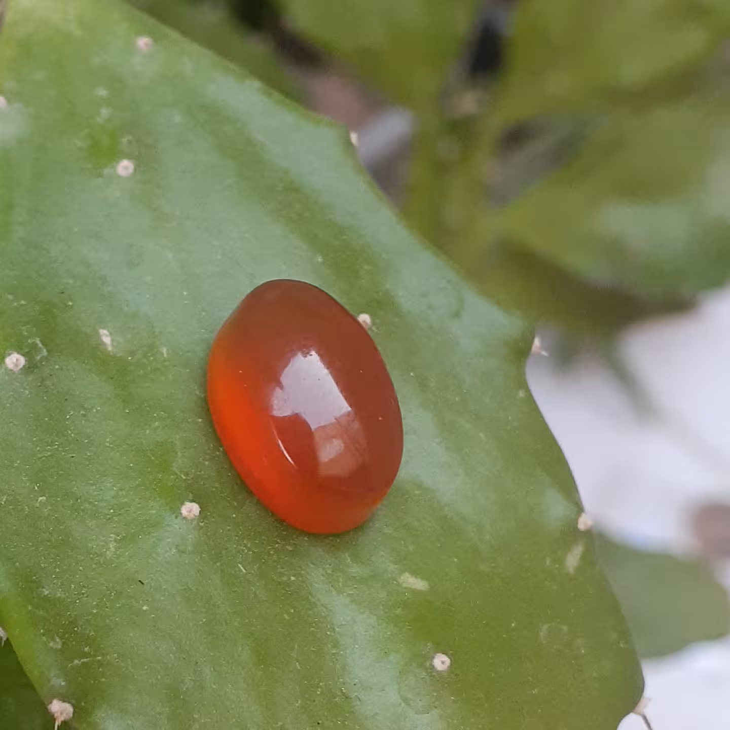 عقیق یمنی درجه یک خوشرنگ بارنگ طبیعی