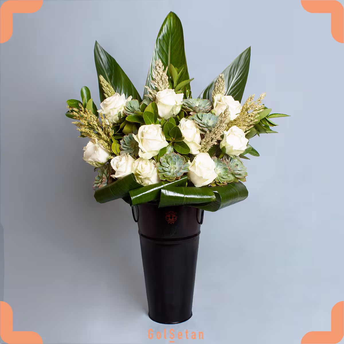 کاپ رز سپید کد F32