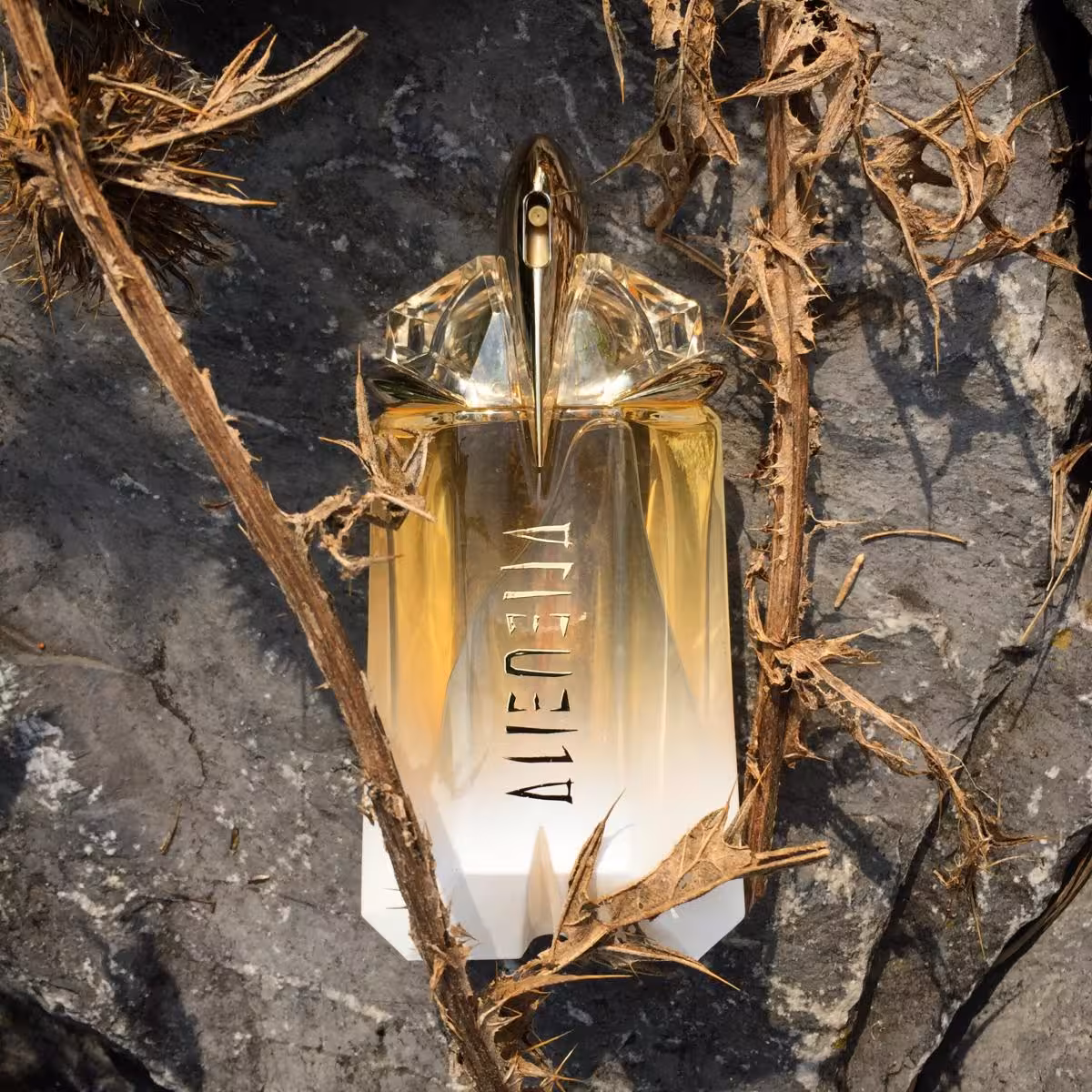 عطر ادکلن تیری موگلر الین او سوبلیم اصل | Thierry Mugler Alien Eau Sublime 60 ml