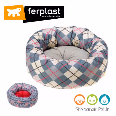 جای خواب تافی