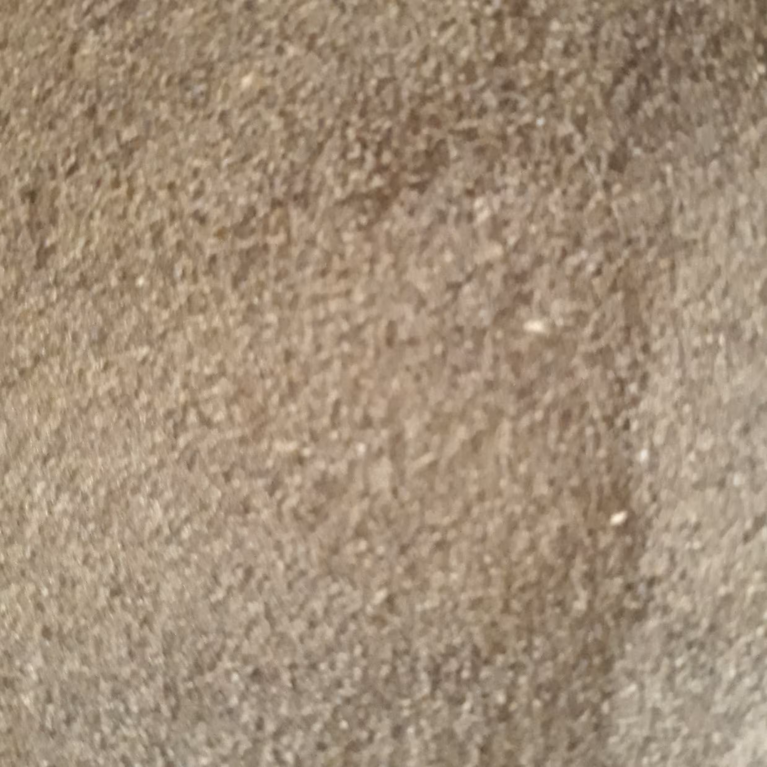 پودر فلفل سیاه خالص70گرمی