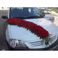 ماشین عروس طرح الیزابت