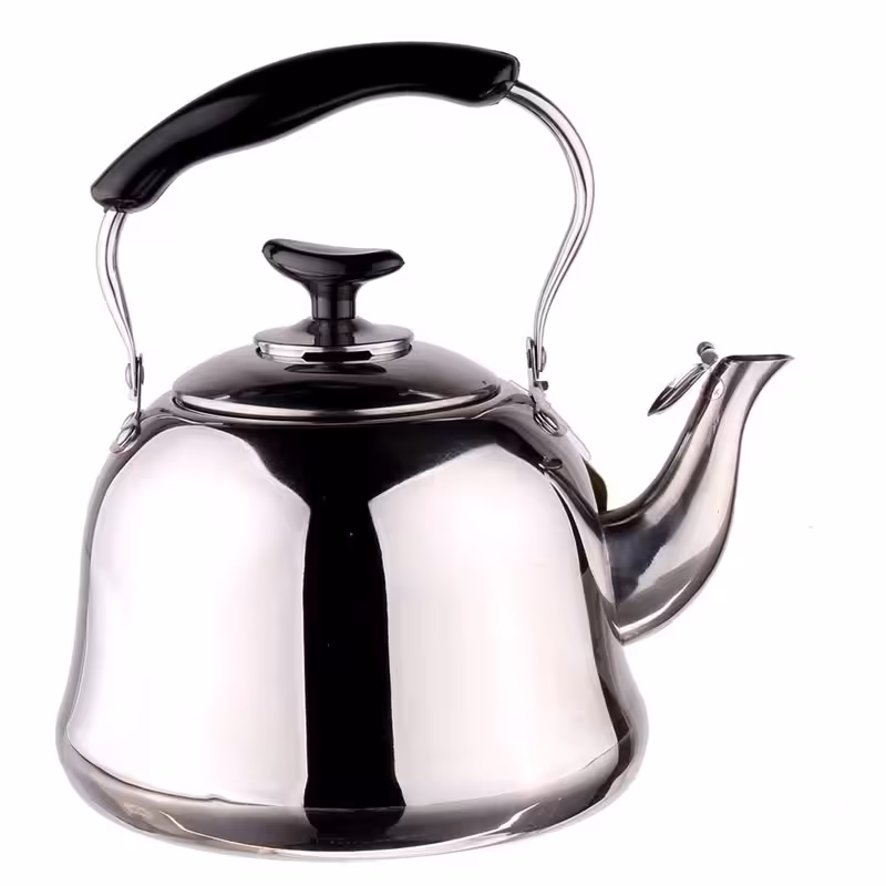 کتری صافی دار استیل سوتی مدل Salute گنجایش 2 لیتر