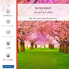 برچسب پوششی ماهوت مدل Spring Season مناسب برای گوشی موبایل بلک بری Passport Silver Edition
