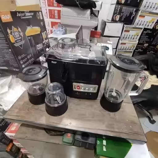 آبمیوه گیری 4 کاره راف مدل R.2819B