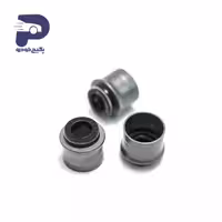 کاسه نمد ساق سوپاپ ( دست کامل ) پژو 206 - 207 - رانا 259617 جی ای اس پی