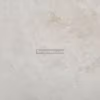 سنگ مرمریت پرشین لته