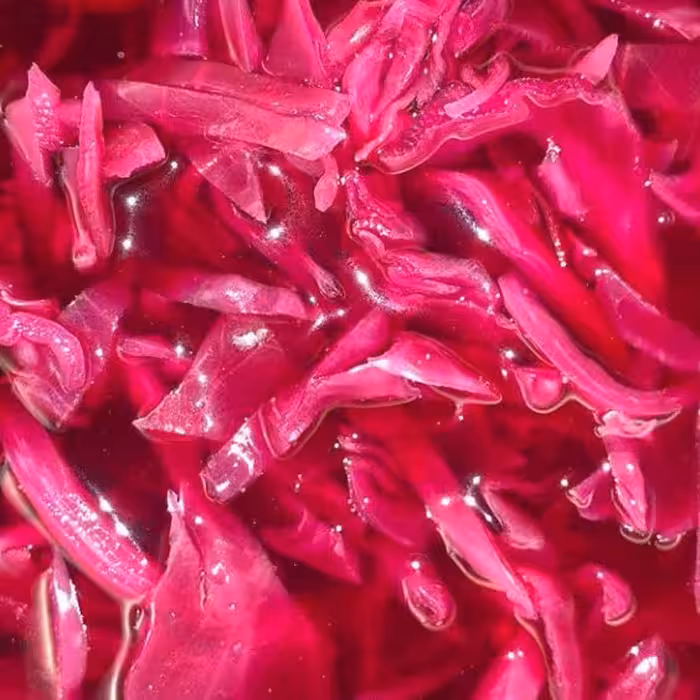 ترشی کلم قرمز ترد و خوشرنگ خونگی