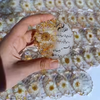 گیفت رزینی باگل بابونه سایز 6 سانتی