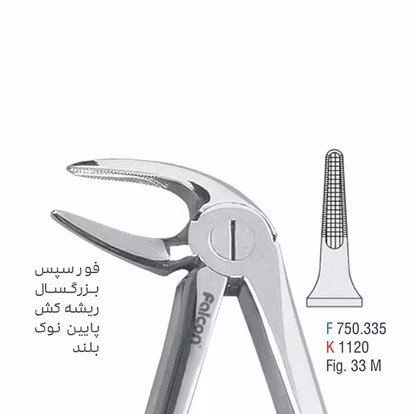 فورسپس بزرگسال ریشه کش پایین - falcon