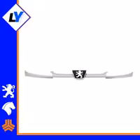 جلوپنجره 206 سفید با ارم