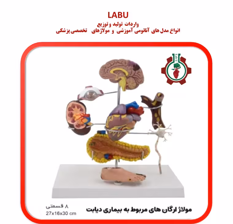 مولاژ اندام های درگیر دیابت