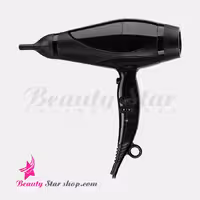 سشوار حرفه ای 2400 وات پرینسلی مدل PR245AT