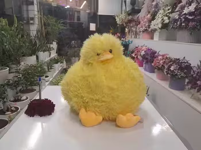 عروسک جوجه اردک زشت کوچک