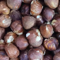 مغز فندق خام 500 گرمی