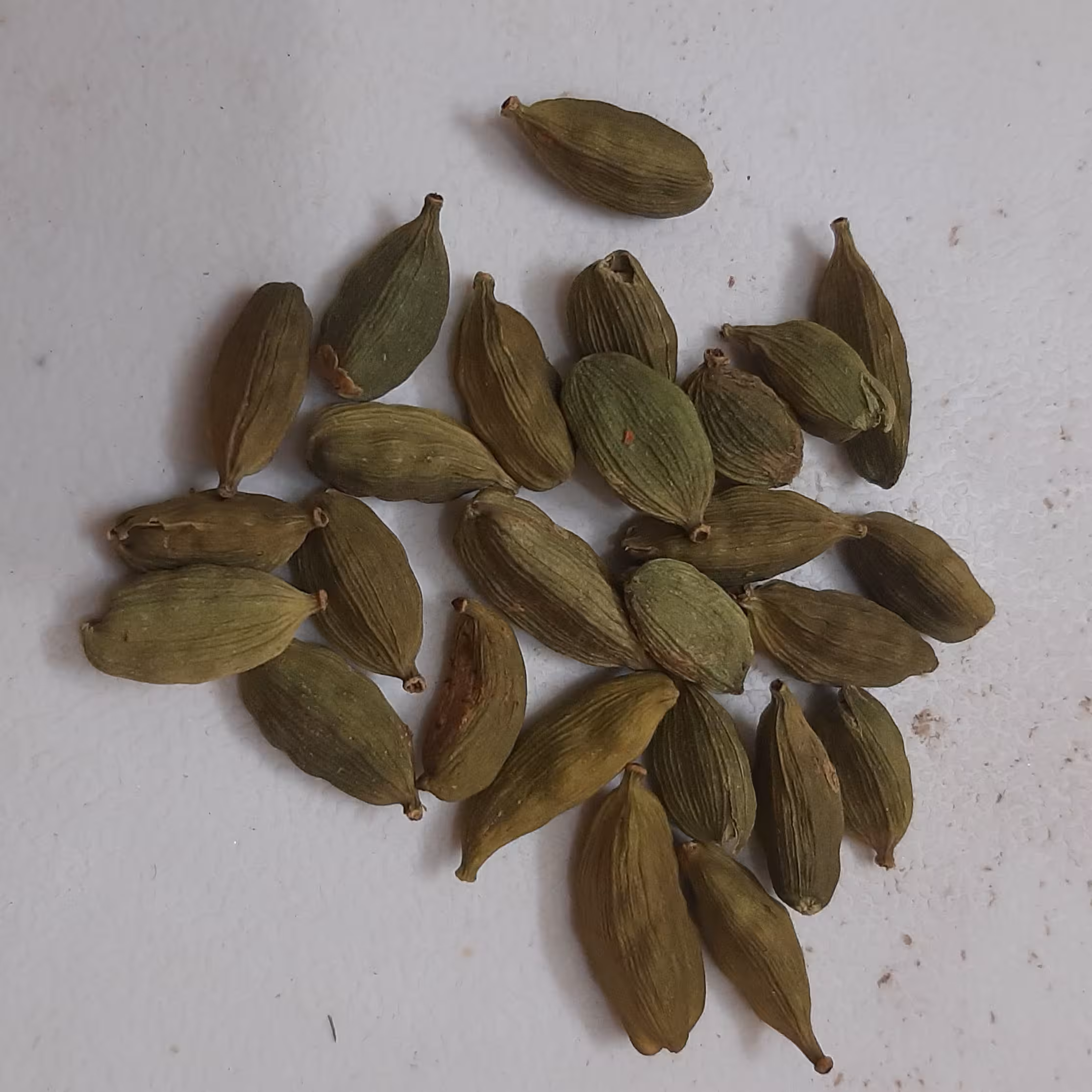 هل سبز اکبر 10گرمی