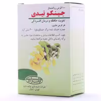 قرص جینکو تیدی تولید دارو 100 عددی