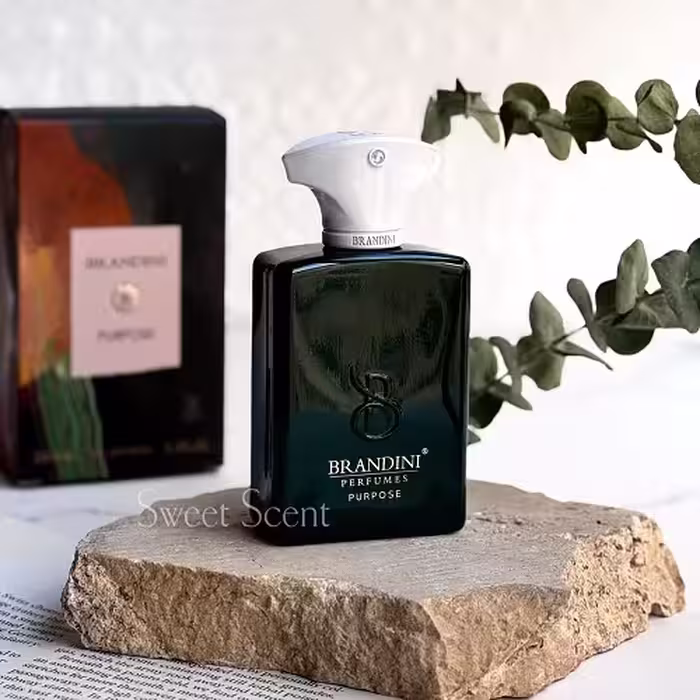 عطر ادکلن مینی آمواج پرپوس(پرپس) برندینی | Amouage Purpose Brandini حجم 33 میل(شرکتی)