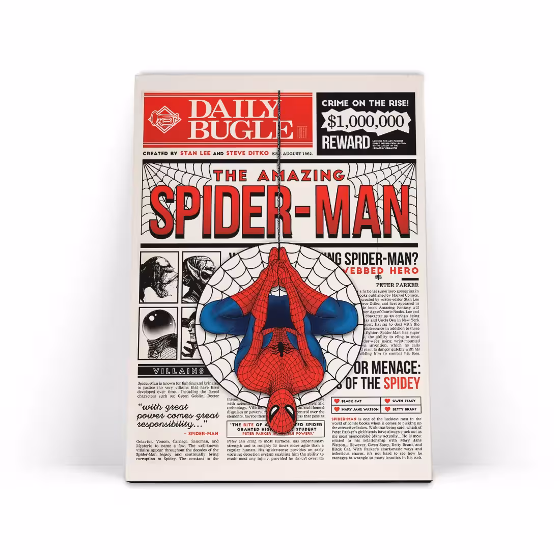 تابلو شاسی مرد عنکبوتی Spider-Man 4