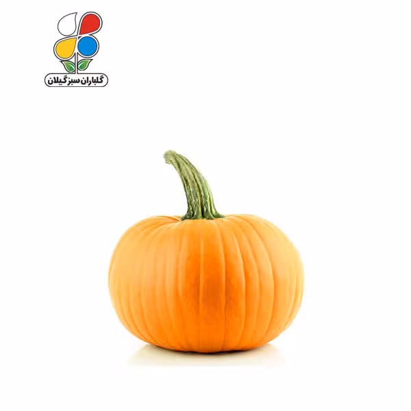 بذر کدو تخم کاغذی بسته سه عددی