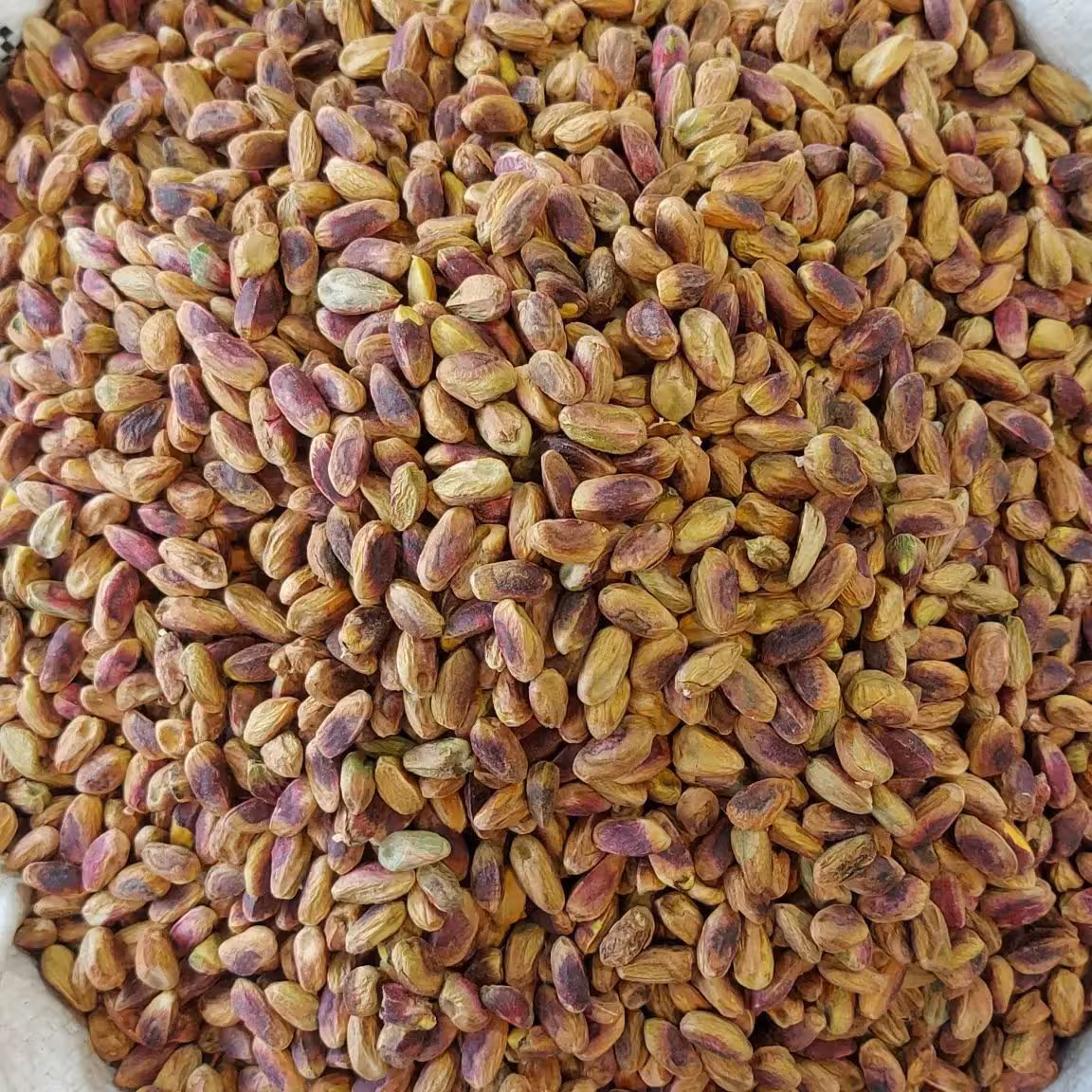 مغز پسته