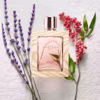 عطر ادوپرفیوم زنانه سیگنچر قاب چوبی برند اوریفلیم 50 میلی لیتر