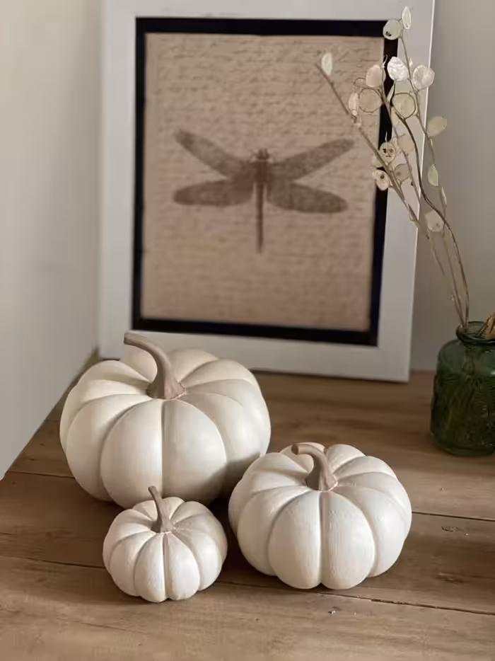 کدو مینیمال