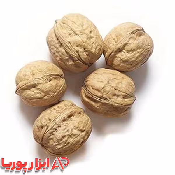 نهال گردو تویسرکان