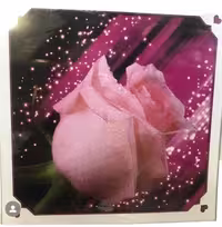 تابلوخام نقاشی باالماس طرح گل رزصورتیA_اورجینال