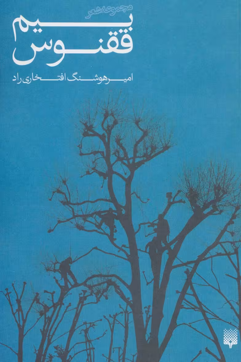 بیم ققنوس (مجموعه شعر) - ناشربوک | خرید آنلاین کتاب