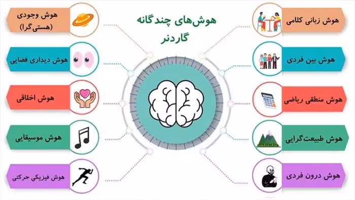 تست هوش گاردنر – همراه با نتایج آزمون