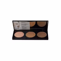 پالت کانتور پودری پرفکتینگ نوت