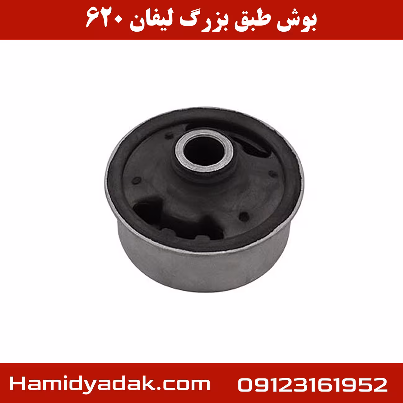 بوش طبق بزرگ لیفان 620