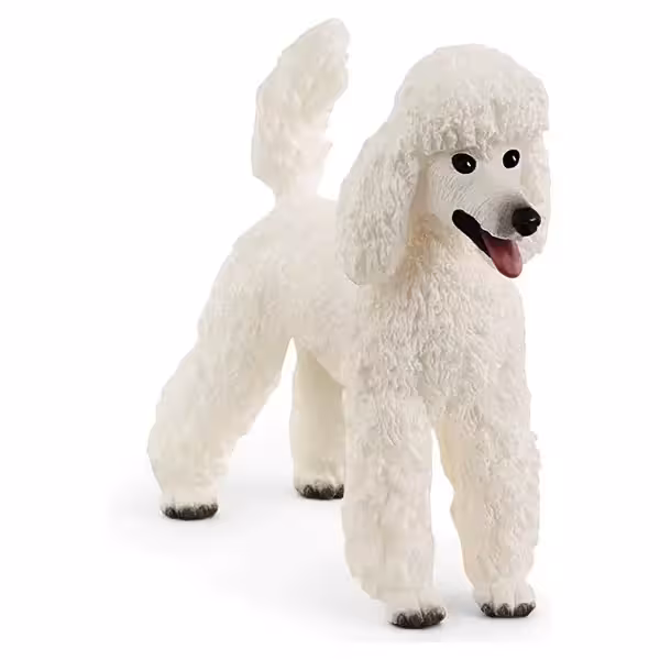 سگ پودل اشلایش Schleich