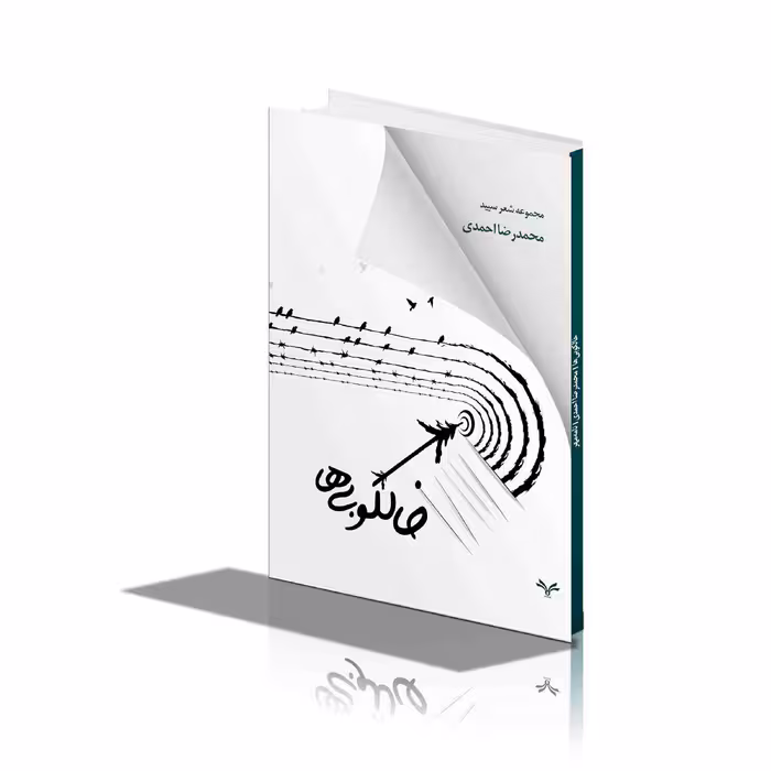 کتاب خالکوبی ها اثر محمدرضا احمدی انتشارات نامه مهر 
