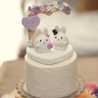 قالب فوندانت مدل خرگوش فانتزی سه بعدی