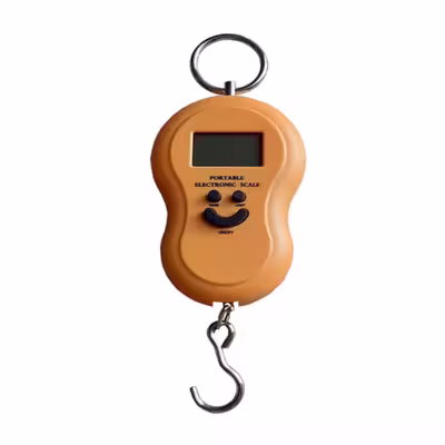 ترازوی آشپزخانه مدل Z-6 کد 1