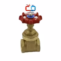 شیر فلکه کشویی 3 اینچ سیم ایتالیا PN16