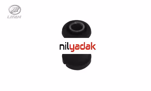 بوش طبق کوچک لیفان 620 درجه یک