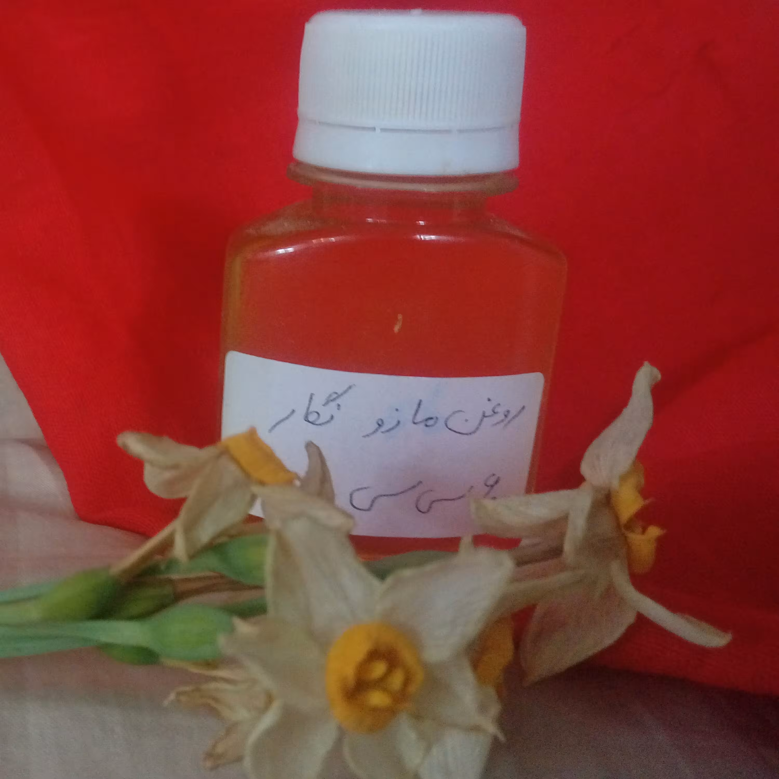 روغن خالص مازو( قابض پوست ) 60 میلی لیتر