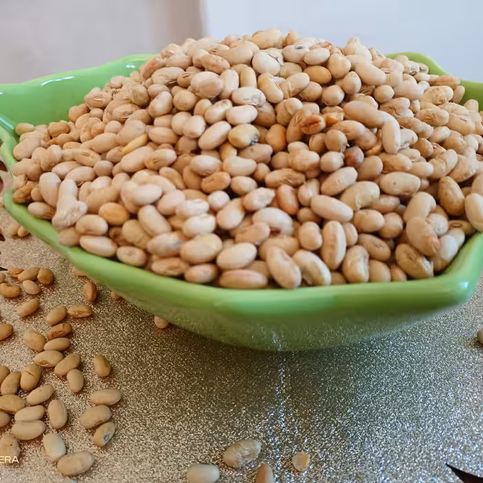 سویا آجیلی اعلاء
تفت داده شده  ( بسته 250 گرمی)
 طعم دار شده با طعم لیمو
ترد  و  خوشمزه 