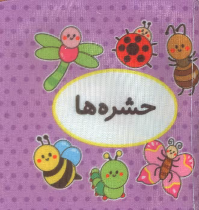 اولین کتاب تصویری من (حشره ها)،(2زبانه)