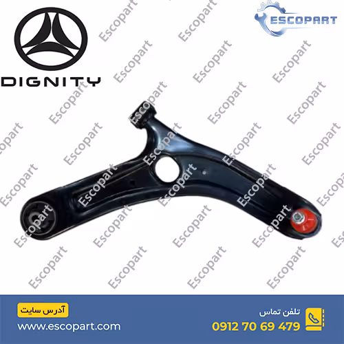 طبق جلو راست دیگنیتی پرایم Dignity Prime