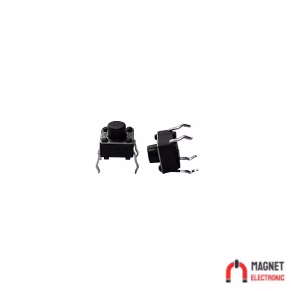 تک سوئیچ دو پین 5.5*6*6