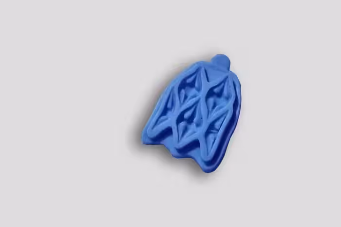 بودکور مالد سيليکوني حاشيه لب 2200586