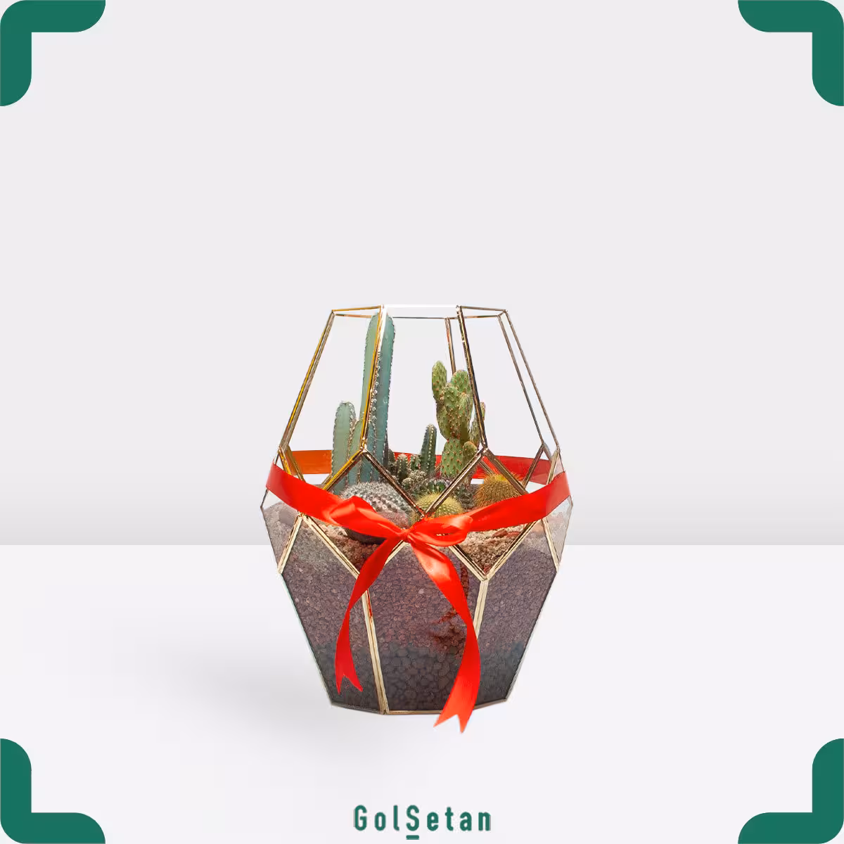 تراریوم کد S09