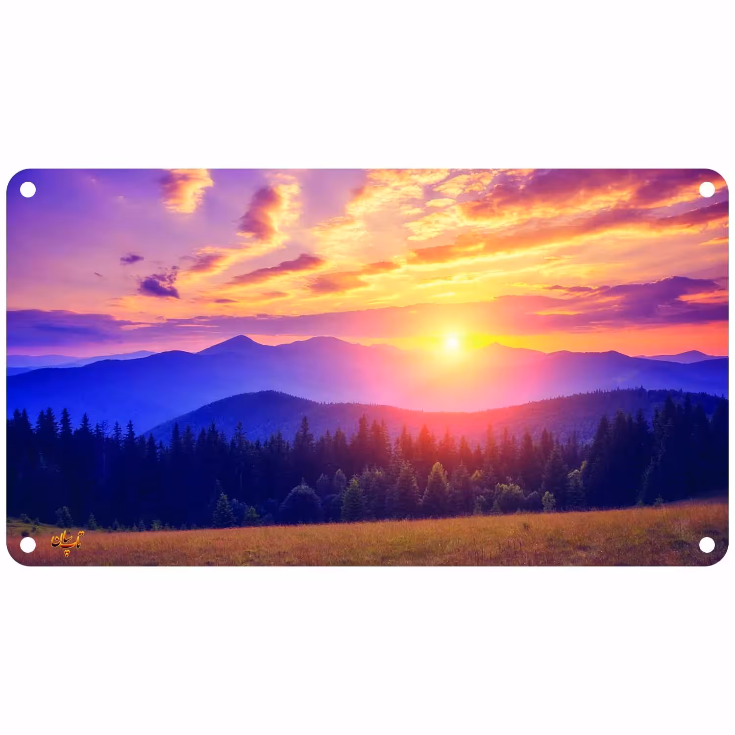 رادیاتور برقی دیواری تاپسان مدل D-902-TP-N-78