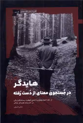 کتاب هایدگر در جستجوی معنای از دست رفته