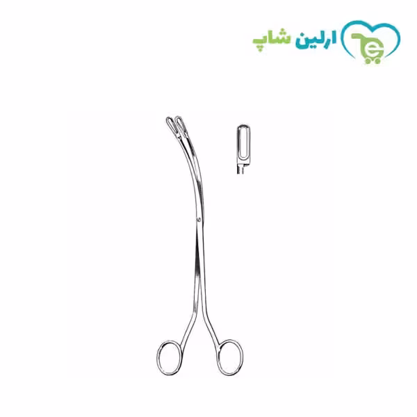 پنس صفرا